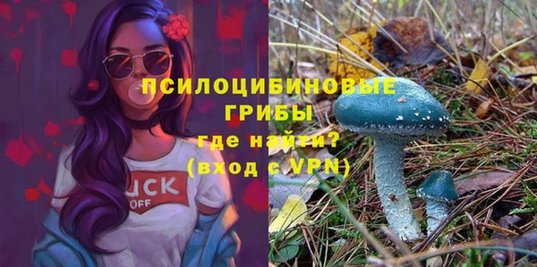 ALPHA PVP Алексеевка