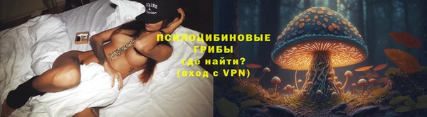 spice Алзамай