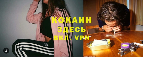 spice Алзамай