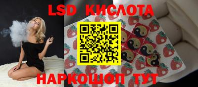 стаф Камышлов