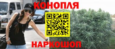 стаф Камышлов
