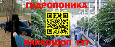 амф Кандалакша