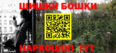 стаф Камышлов