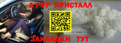 амф Кандалакша