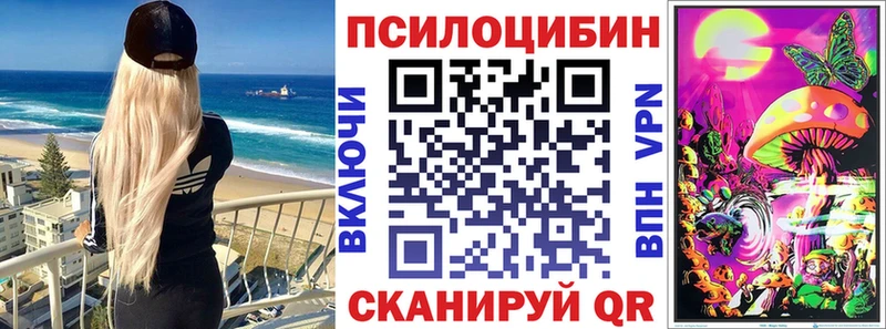 купить наркотик  Ярцево  Галлюциногенные грибы Psilocybe 