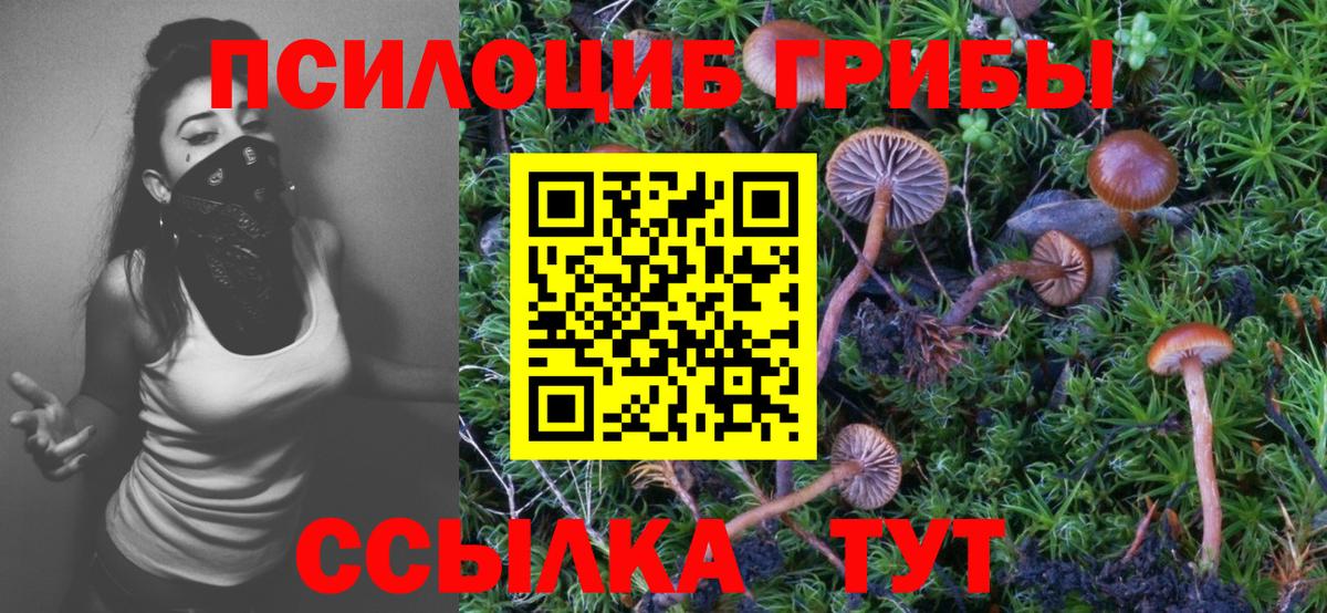 Псилоцибиновые грибы GOLDEN TEACHER  Псилоцибиновые грибы мухоморы  Ярцево  Вход с VPN 